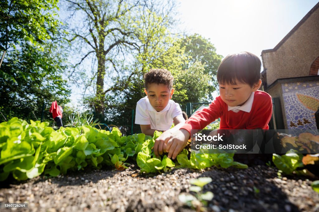 Happy child in garden